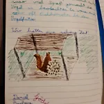Boshuis Turquoise / Smaakvol Genieten Op De Veluwe