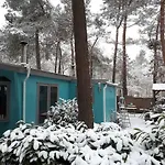 Vakantiehuis Boshuis Turquoise / Smaakvol Genieten Op De Veluwe *