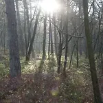 Boshuis Turquoise / Smaakvol Genieten Op De Veluwe * Hoenderloo