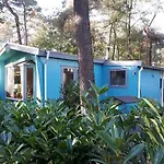 Vakantiehuis Boshuis Turquoise / Smaakvol Genieten Op De Veluwe Hoenderloo