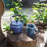 Boshuis Turquoise / Smaakvol Genieten Op De Veluwe Σπίτι διακοπών *