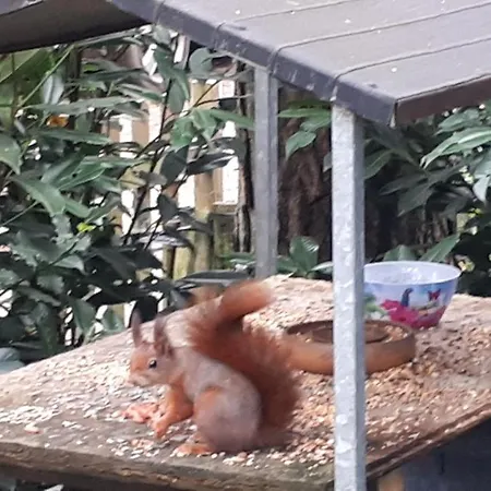 Boshuis Turquoise / Smaakvol Genieten Op De Veluwe *