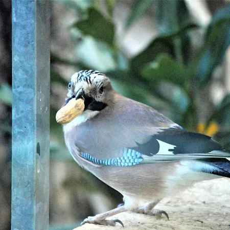 Сasa de vacaciones Boshuis Turquoise / Smaakvol Genieten Op De Veluwe Hoenderloo