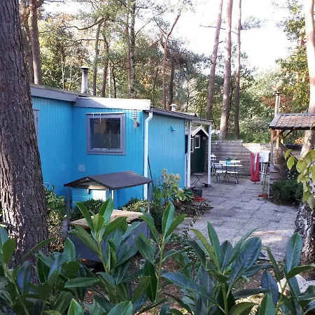Boshuis Turquoise / Smaakvol Genieten Op De Veluwe Holiday home *