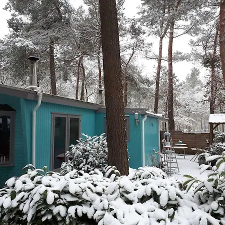 Semesterbostad Boshuis Turquoise / Smaakvol Genieten Op De Veluwe *