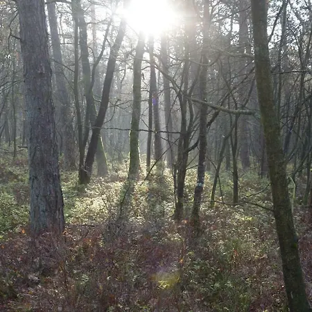 Boshuis Turquoise / Smaakvol Genieten Op De Veluwe * Hoenderloo