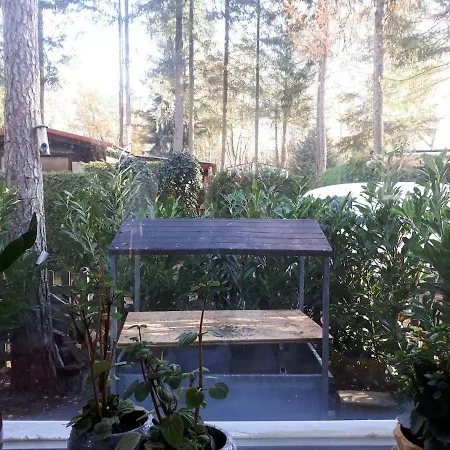 Boshuis Turquoise / Smaakvol Genieten Op De Veluwe Holiday home Hoenderloo
