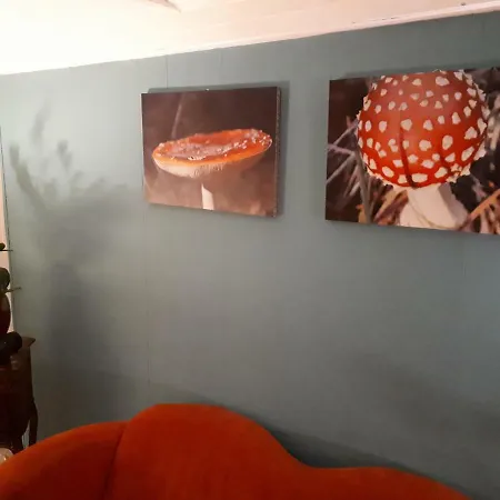 Boshuis Turquoise / Smaakvol Genieten Op De Veluwe Vakantiehuis Hoenderloo
