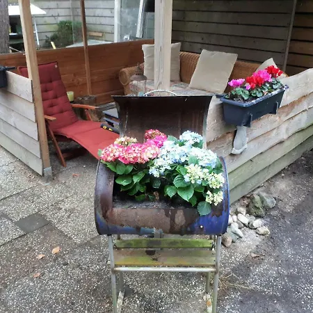 Boshuis Turquoise / Smaakvol Genieten Op De Veluwe Vakantiehuis *