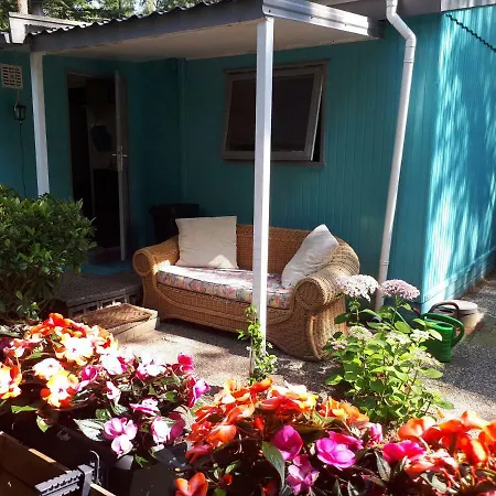 Boshuis Turquoise / Smaakvol Genieten Op De Veluwe Holiday home Hoenderloo