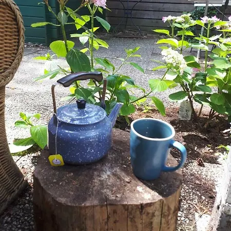 Boshuis Turquoise / Smaakvol Genieten Op De Veluwe Holiday home *