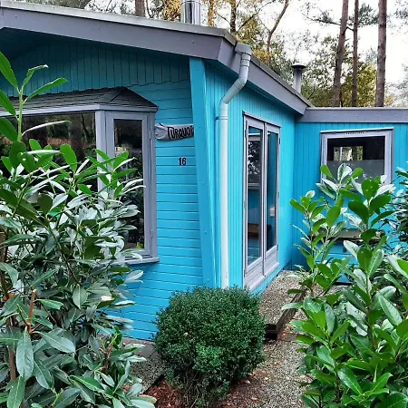 Boshuis Turquoise / Smaakvol Genieten Op De Veluwe Holiday home *