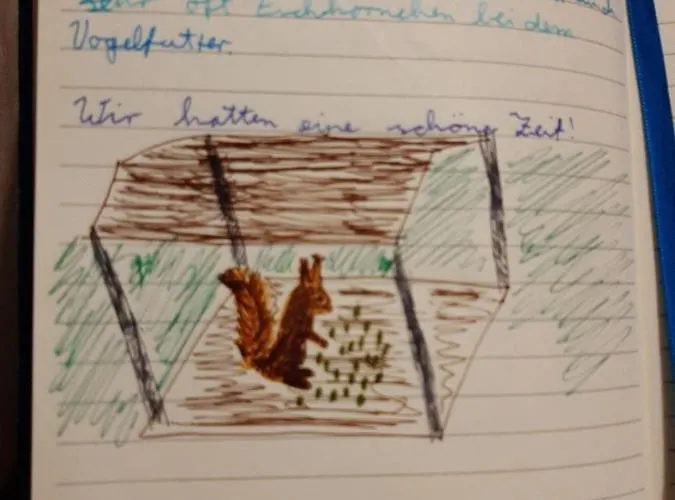 Boshuis Turquoise / Smaakvol Genieten Op De Veluwe