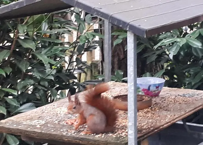 Boshuis Turquoise / Smaakvol Genieten Op De Veluwe *