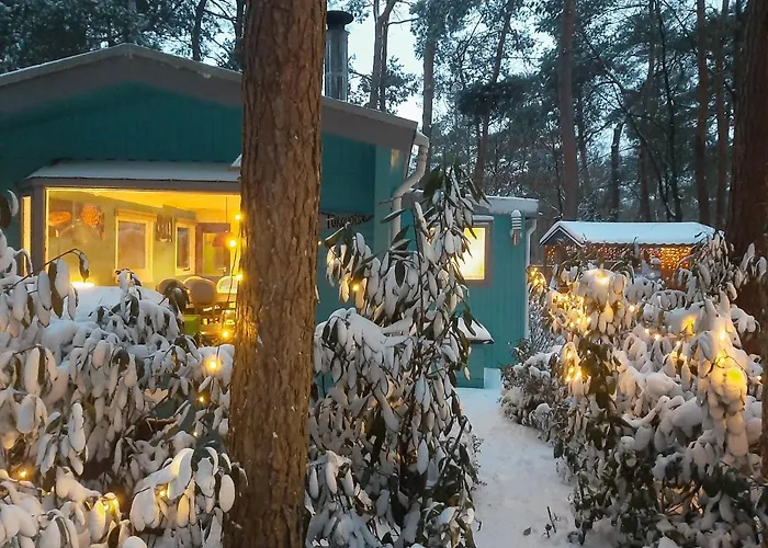 Tatil Evi Boshuis Turquoise / Smaakvol Genieten Op De Veluwe