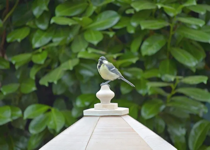 Tatil Evi Boshuis Turquoise / Smaakvol Genieten Op De Veluwe *