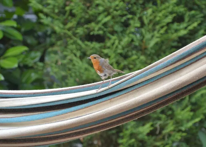 Boshuis Turquoise / Smaakvol Genieten Op De Veluwe