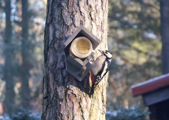 Prázdninový dům Boshuis Turquoise / Smaakvol Genieten Op De Veluwe