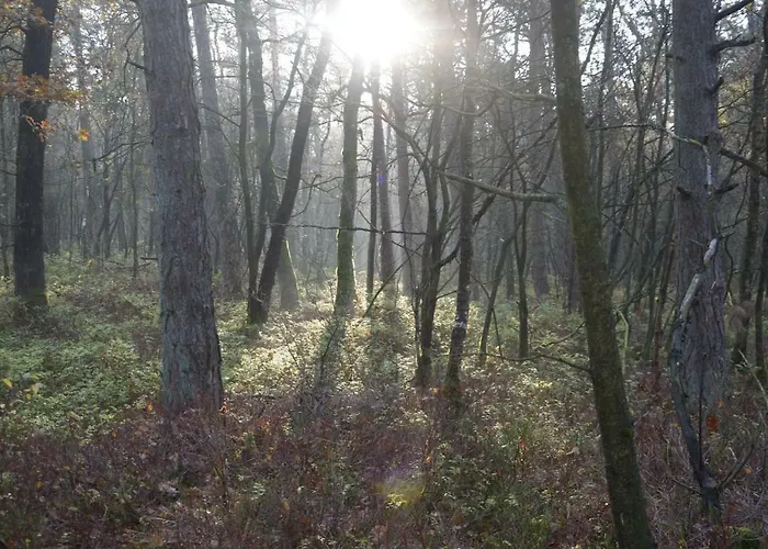 Boshuis Turquoise / Smaakvol Genieten Op De Veluwe * Hoenderloo