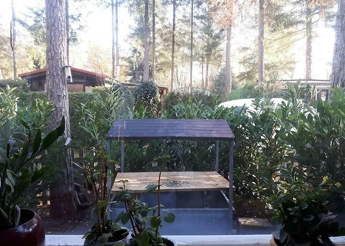 Boshuis Turquoise / Smaakvol Genieten Op De Veluwe بيت للعطل هونديرلو