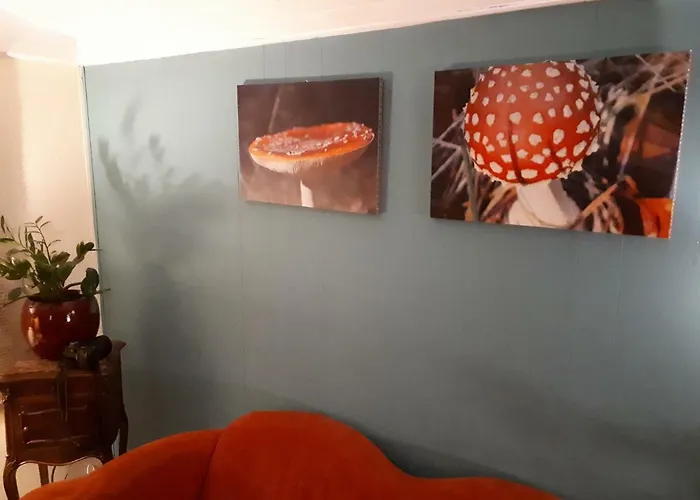 Boshuis Turquoise / Smaakvol Genieten Op De Veluwe بيت للعطل هونديرلو