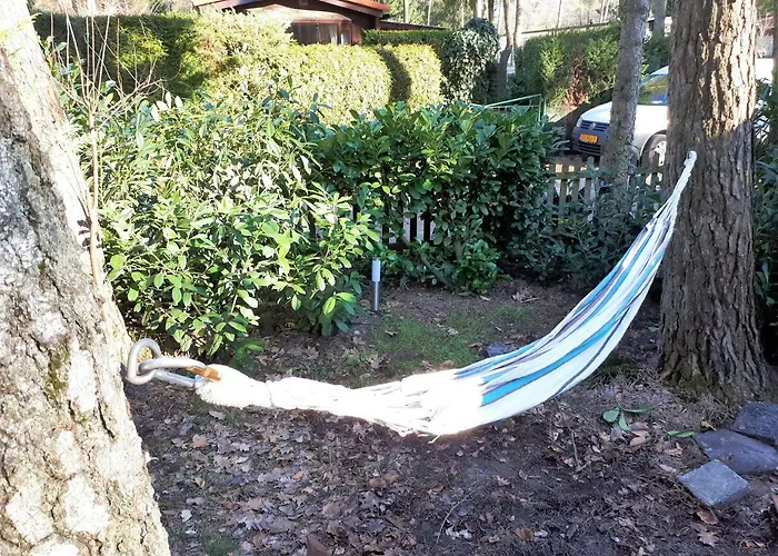 Holiday home Boshuis Turquoise / Smaakvol Genieten Op De Veluwe Hoenderloo