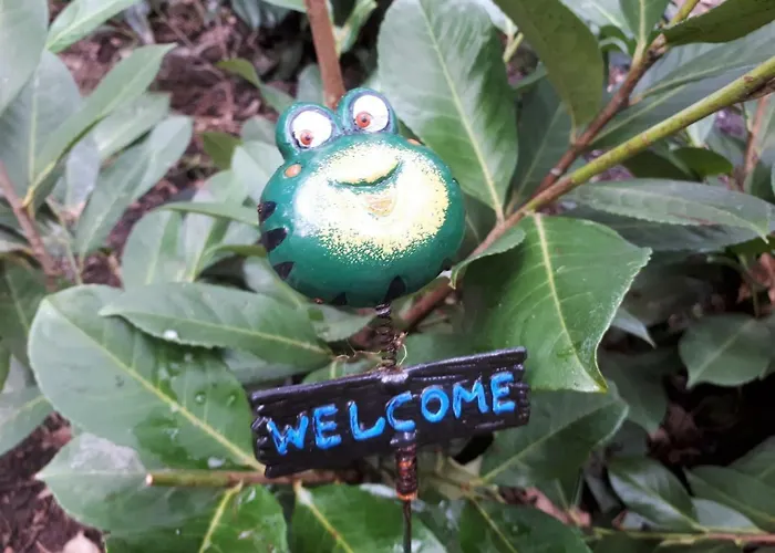 Prázdninový dům Boshuis Turquoise / Smaakvol Genieten Op De Veluwe Hoenderloo