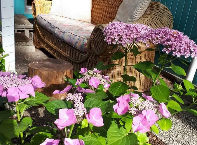 Boshuis Turquoise / Smaakvol Genieten Op De Veluwe *