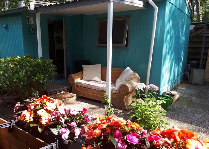 Boshuis Turquoise / Smaakvol Genieten Op De Veluwe Holiday home Hoenderloo