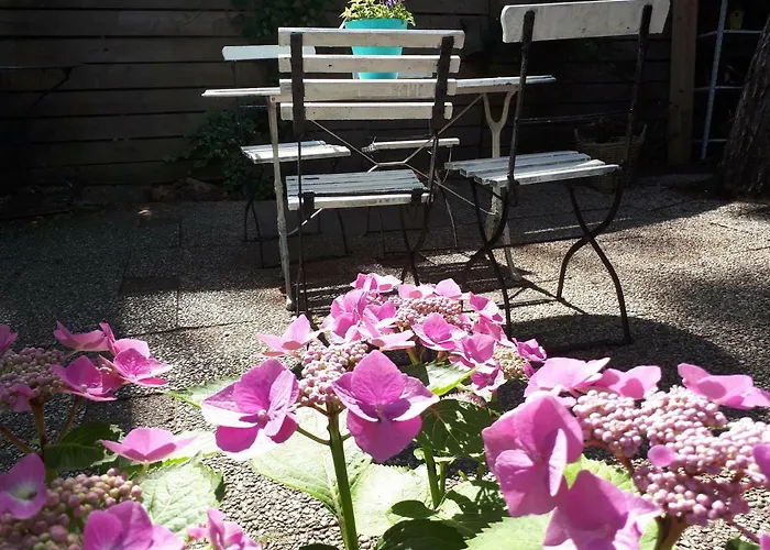 Boshuis Turquoise / Smaakvol Genieten Op De Veluwe Holiday home *