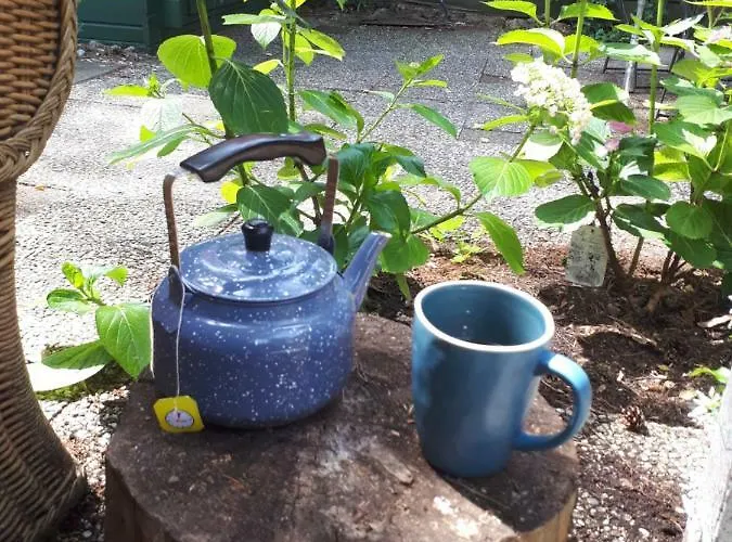 Boshuis Turquoise / Smaakvol Genieten Op De Veluwe Tatil Evi *