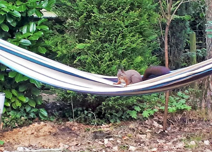 Prázdninový dům Boshuis Turquoise / Smaakvol Genieten Op De Veluwe