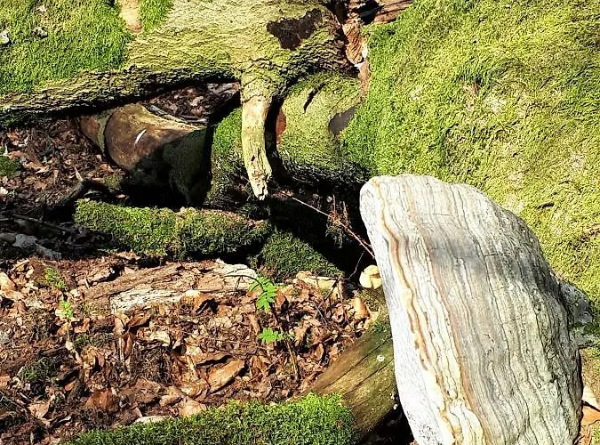 بيت للعطل Boshuis Turquoise / Smaakvol Genieten Op De Veluwe هونديرلو