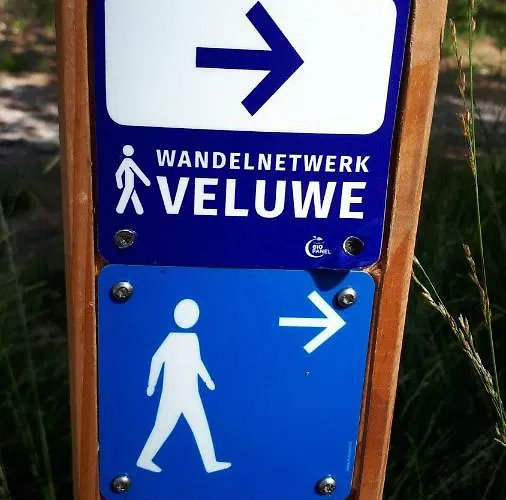 Boshuis Turquoise / Smaakvol Genieten Op De Veluwe Hoenderloo