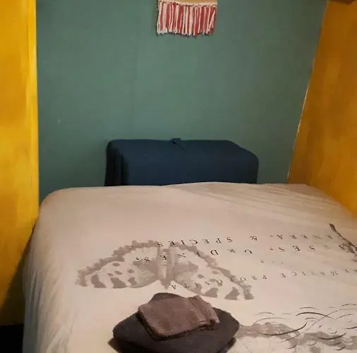 Boshuis Turquoise / Smaakvol Genieten Op De Veluwe *