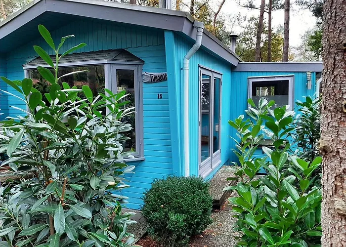 Boshuis Turquoise / Smaakvol Genieten Op De Veluwe Tatil Evi *
