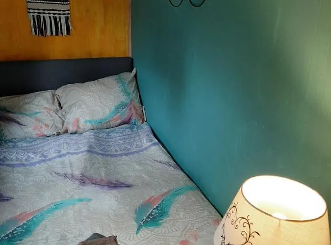 Boshuis Turquoise / Smaakvol Genieten Op De Veluwe