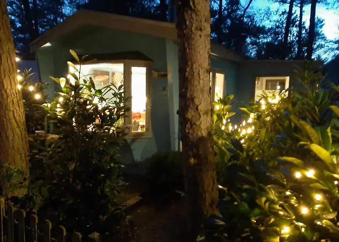 Boshuis Turquoise / Smaakvol Genieten Op De Veluwe Tatil Evi *