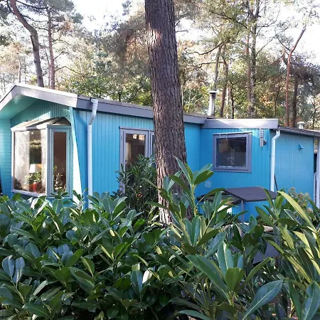 Hébergement de vacances Boshuis Turquoise / Smaakvol Genieten Op De Veluwe Hoenderloo