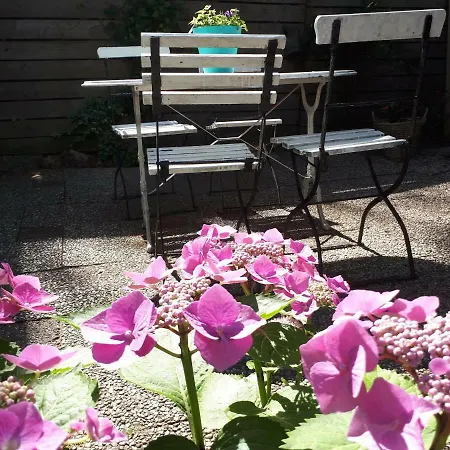 Boshuis Turquoise / Smaakvol Genieten Op De Veluwe Hébergement de vacances *