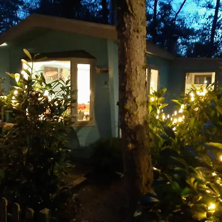 Boshuis Turquoise / Smaakvol Genieten Op De Veluwe Holiday home *